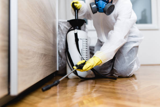  Rossville, GA Pest Control Pros