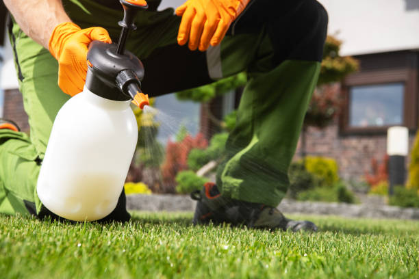 Best Pest Removal Services  in Rossville, GA