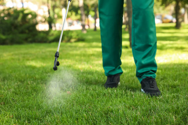 Best Emergency Pest Control  in Rossville, GA