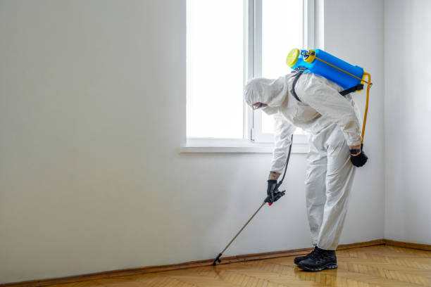 Flea Control Services in Rossville, GA