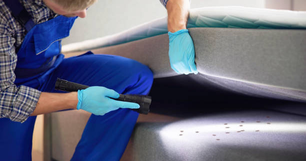 Best Wasp Removal Services  in Rossville, GA