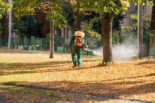 Best Cockroach Control Services  in Rossville, GA