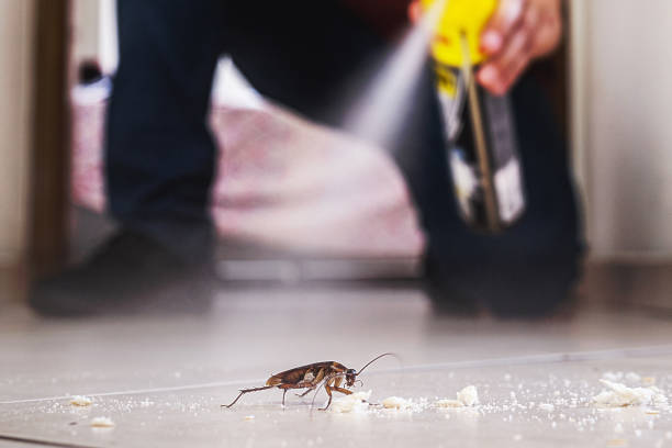Best Exterminator Services  in Rossville, GA
