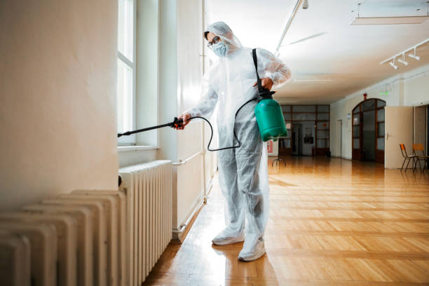 Best Affordable Pest Control Services  in Rossville, GA