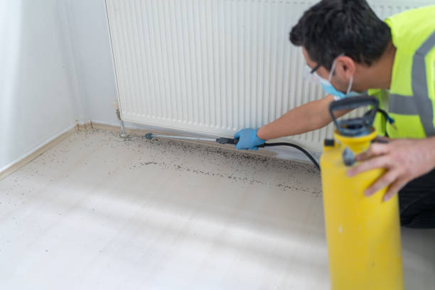 Best Mosquito Control Services  in Rossville, GA