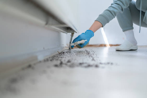 Best Pest Prevention Services  in Rossville, GA