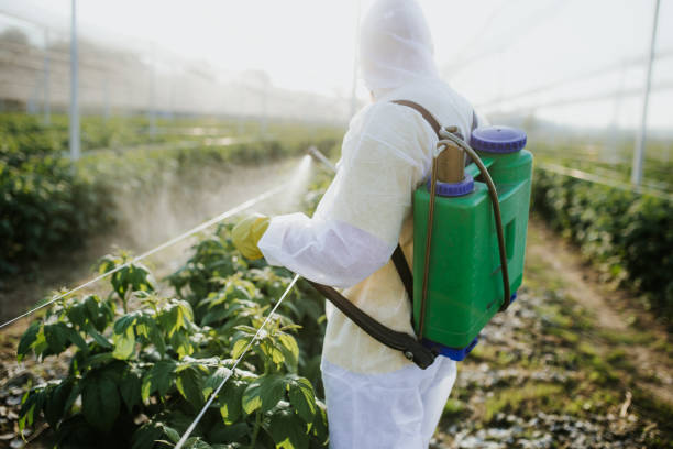 Best Wildlife Control Services  in Rossville, GA